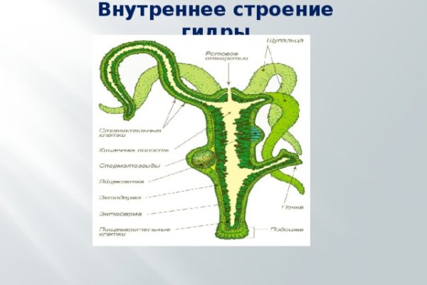 Dark net официальный сайт